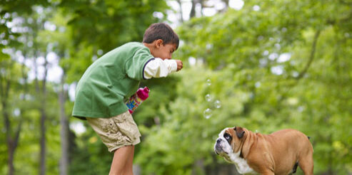 getty_rm_photo_of_boy_playing_with_dog-1